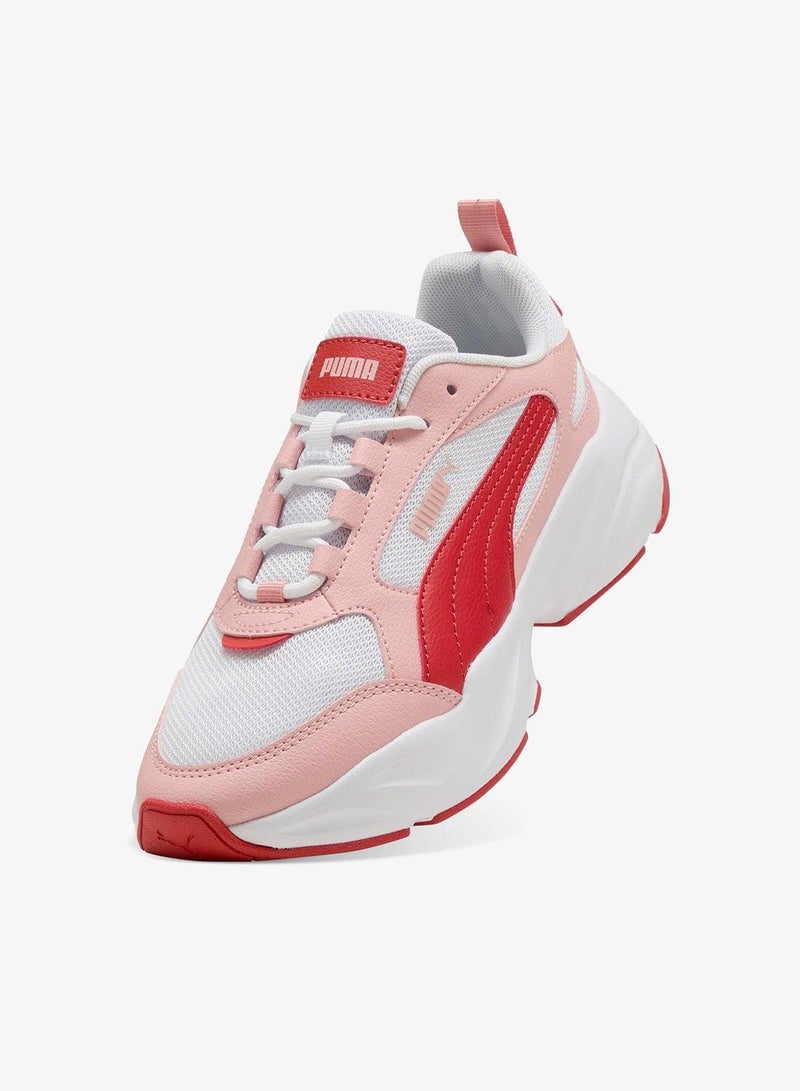 بوما كاسيا . - Image 5