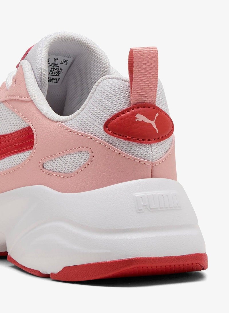 بوما كاسيا . - Image 4