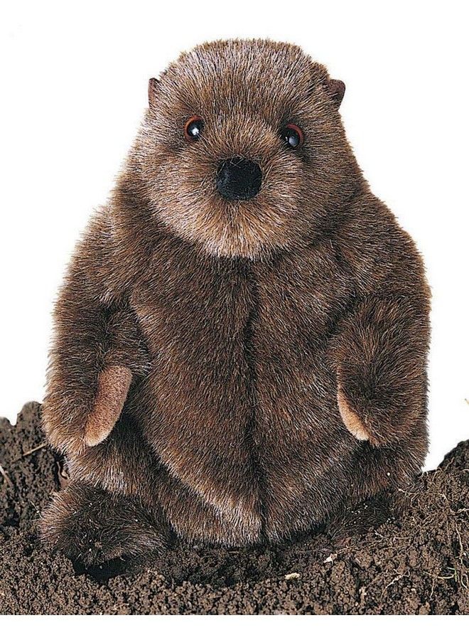 Douglas Chuckwood Groundhog Plush Stuffed Animal - Image 1