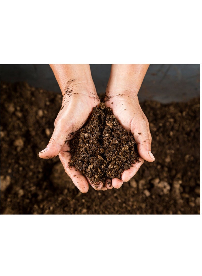 Ready-to-use soil, peat moss, natural, imported, high absorption, excellent soil mix, imported peat moss ready to use (kg,4) - Image 1