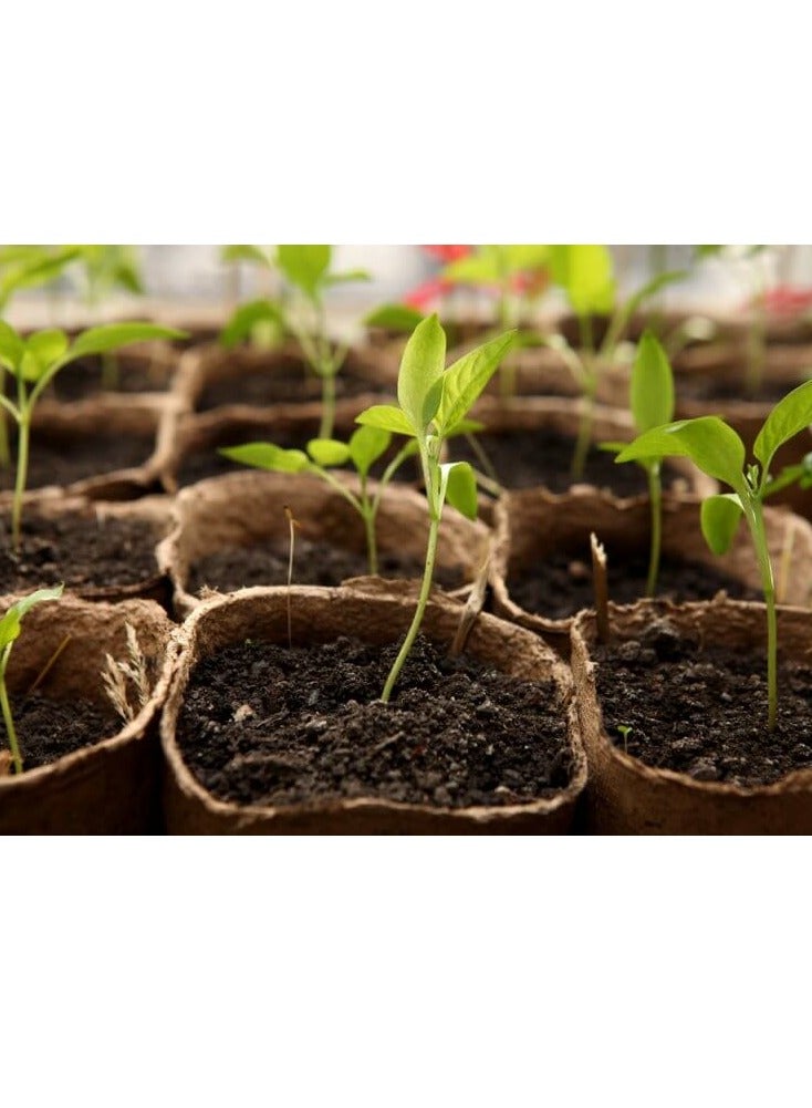 Ready-to-use soil, peat moss, natural, imported, high absorption, excellent soil mix, imported peat moss ready to use (kg,4) - Image 2