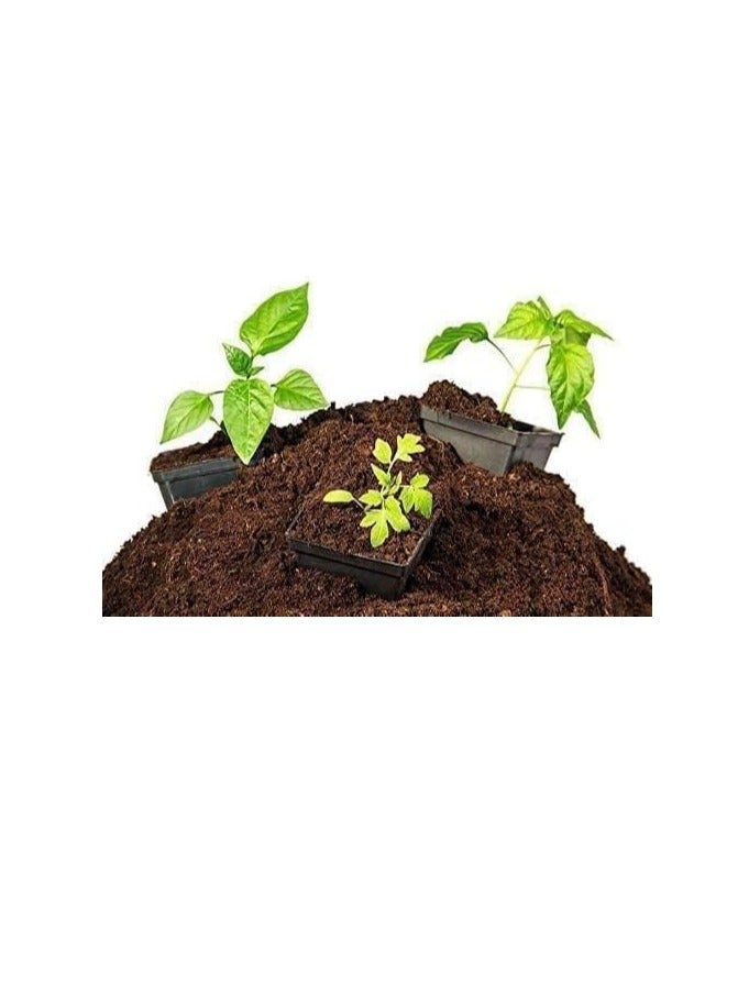 Ready-to-use soil, peat moss, natural, imported, high absorption, excellent soil mix, imported peat moss ready to use (kg,4) - Image 3