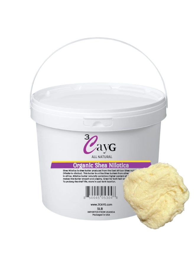 3CAYG Shea Nilotica Cold Pressed and Unrefined East African Shea Butter 5LB Pail - Image 3