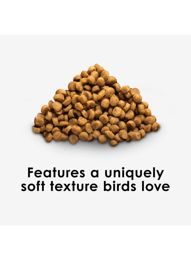 كايتي طعام طيور Kaytee Nutri Soft Pet Parrot & Conure، 3 رطل - Image 2