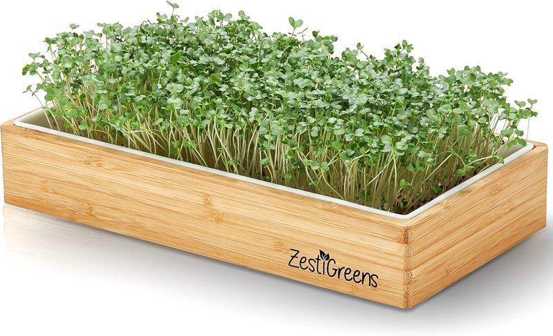 ZESTIGREENS طقم إعادة تعبئة الميكروجرين مع 9 حصائر نباتية و 9 أنواع من البذور لطقم بدء الميكروجرين - Image 3