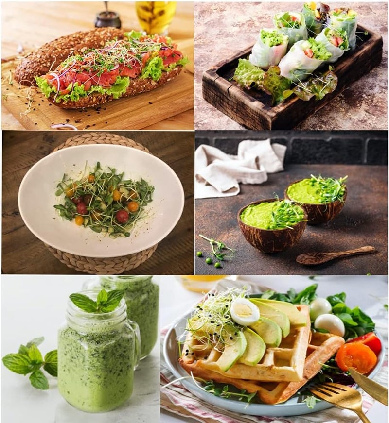 ZESTIGREENS طقم إعادة تعبئة الميكروجرين مع 9 حصائر نباتية و 9 أنواع من البذور لطقم بدء الميكروجرين - Image 5
