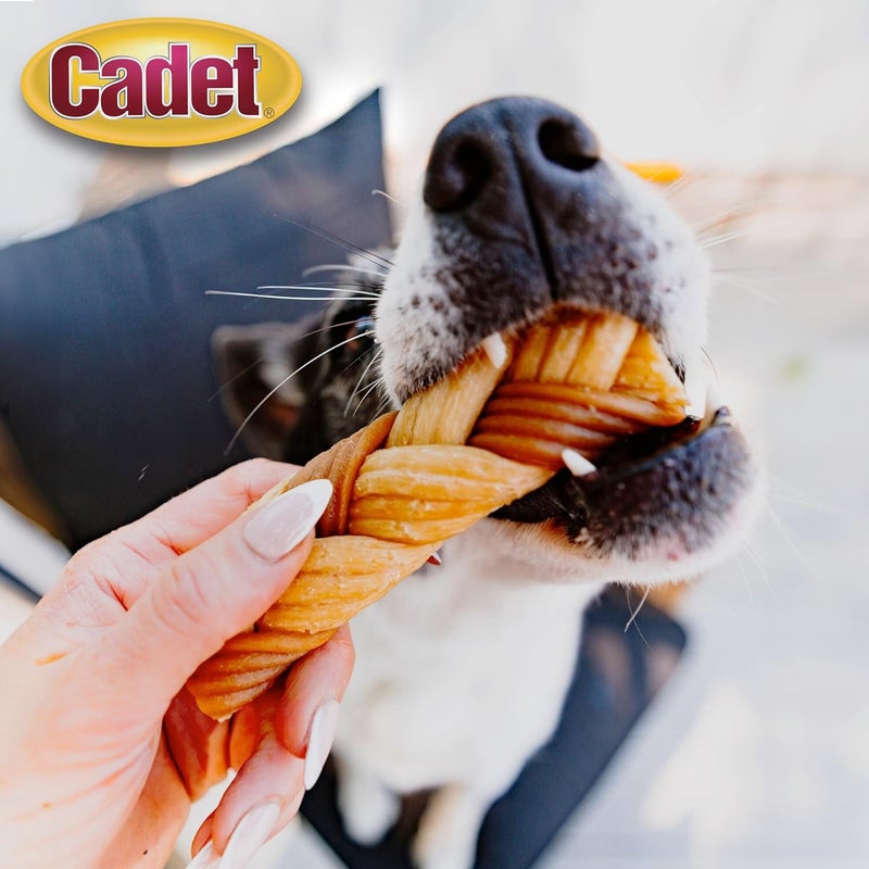 Cadet Chewalicious Chewy N Crunchy Braid Dog Treats Limited Ingredient RawhideFree LongLasting Chews for Dogs Made with Real Chicken 3 Count - Image 3