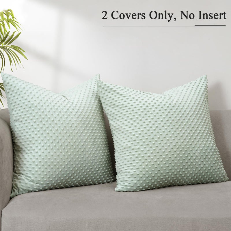 بي أتش إف PHF Minky Dot Throw Pillow Cover 24 "" × 24 "" 2 Pack Soft Minky Minky Bubble real Velvet Cushion Cover No Insert Home Discorative shams shell for bed sofa sage sage sage - Image 2