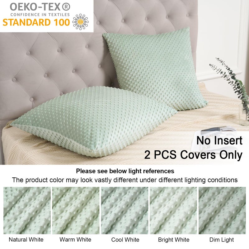 بي أتش إف PHF Minky Dot Throw Pillow Cover 24 "" × 24 "" 2 Pack Soft Minky Minky Bubble real Velvet Cushion Cover No Insert Home Discorative shams shell for bed sofa sage sage sage - Image 3