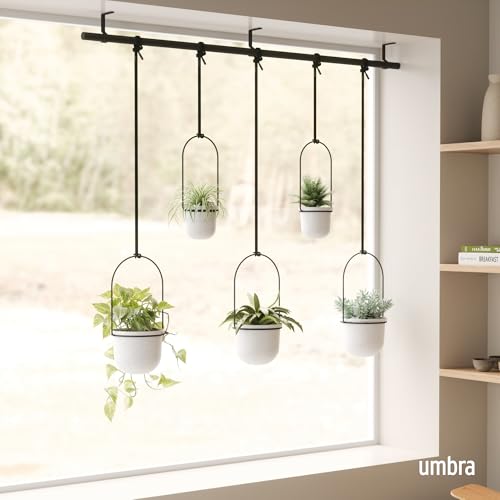 Umbra Triflora Hanging Planter for Window Indoor Herb Garden Set of 5 WhiteBlack - Image 3