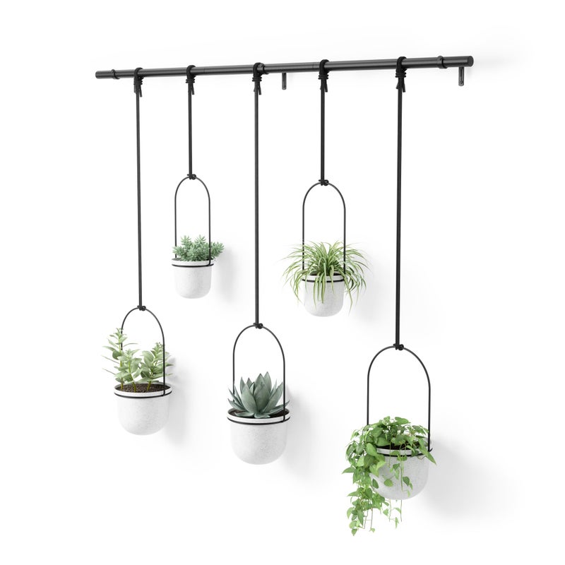 Umbra Triflora Hanging Planter for Window Indoor Herb Garden Set of 5 WhiteBlack - Image 2