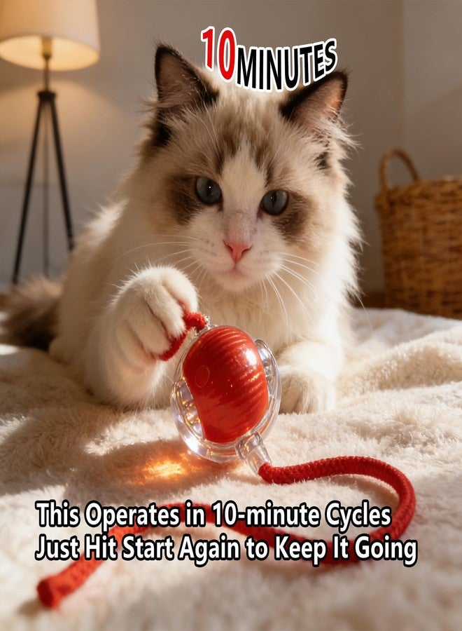 Interactive Smart Wake Pet Ball with Teaser Tail for Cats & Dogs(red) - Image 3