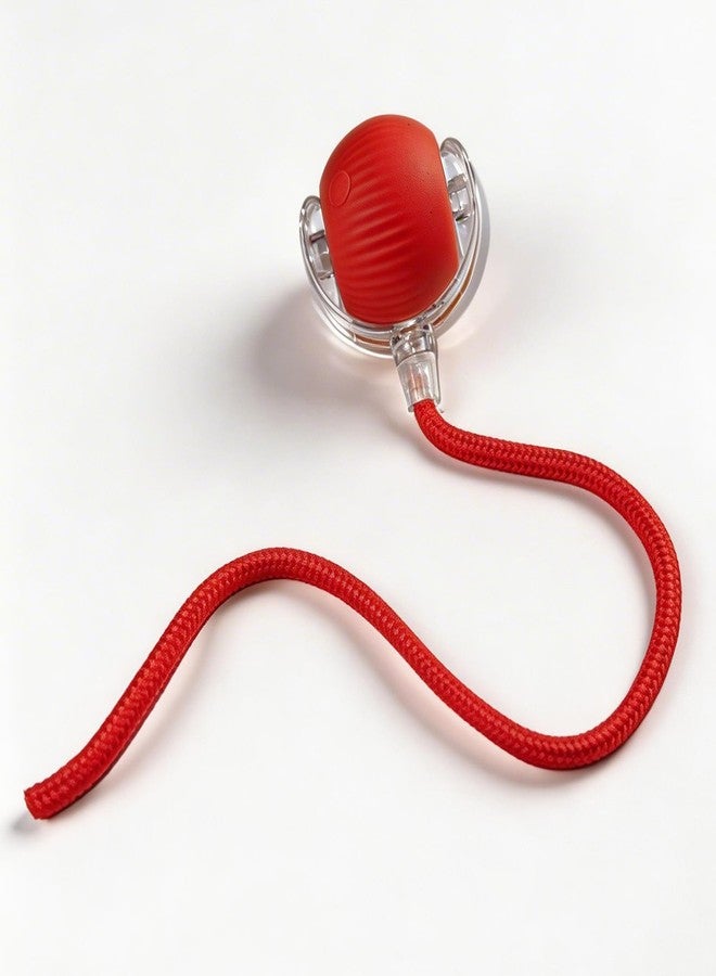 Interactive Smart Wake Pet Ball with Teaser Tail for Cats & Dogs(red) - Image 1