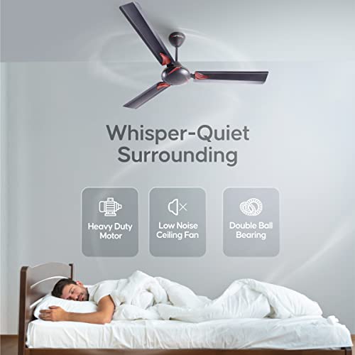 LONGWAY Creta P1 1200 mm/48 inch Ultra High Speed 3 Blade Anti-Dust Decorative Star Rated Ceiling Fan 2 Years Warranty (Smoked Brown, Pack of 1) - Image 5