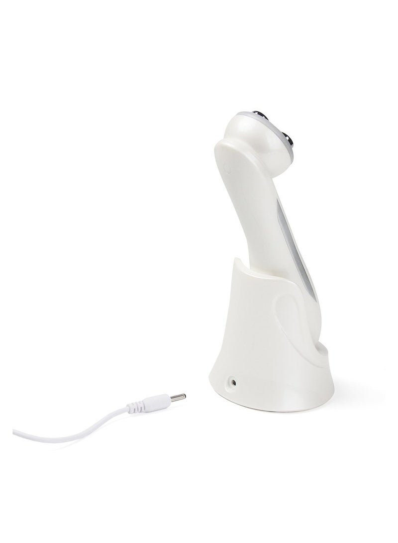 5in1 RF EMS LED Photon Face Skin Rejuvenation Electroporation Mesotherapy Facial Machine Device Instrument