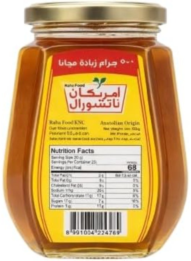 عسل طبيعي أمريكي زجاجي - 550 غرام (500 غرام + 50 غرام إضافية) | منشأ أسترالي | مُعدّ بطريقة صحية | نكهة نقية وطبيعية | مثالي للشاي والخبز والتوست والخبز والطبخ | جودة ممتازة | - Image 2