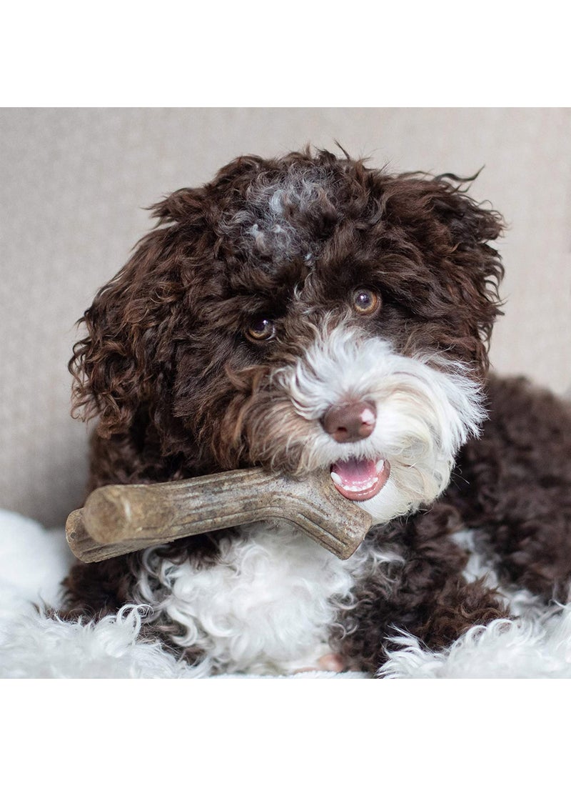 Benebone Puppy Maplestick Chew Dog Toy  - Image 4