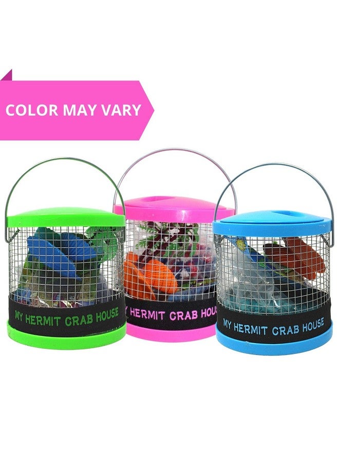 Needzo DIY Terrarium Kit, Medium Hermit Crab Starter Pack with Wire Cage, Palm Tree Water Holder, Sponge, Bag of Food, Gravel, and Misting Water Bottle, All in One Pet Supplies, 7 Inches - Image 2