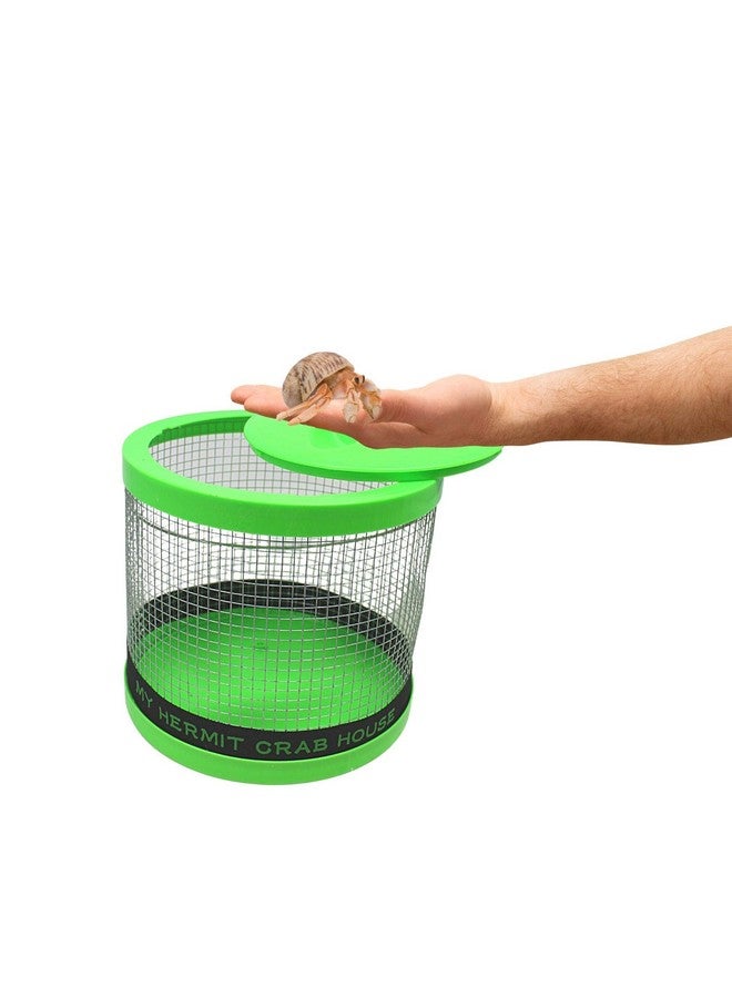 Needzo DIY Terrarium Kit, Medium Hermit Crab Starter Pack with Wire Cage, Palm Tree Water Holder, Sponge, Bag of Food, Gravel, and Misting Water Bottle, All in One Pet Supplies, 7 Inches - Image 5