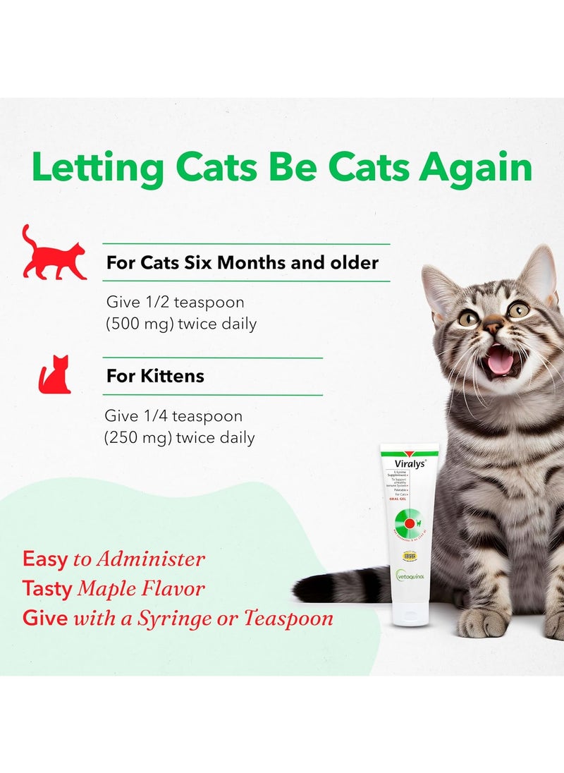 Vetoquinol Vetoquinol Viralys Oral Gel for Cats – Daily Immune & Respiratory Support with L-Lysine, 142g  - Image 5