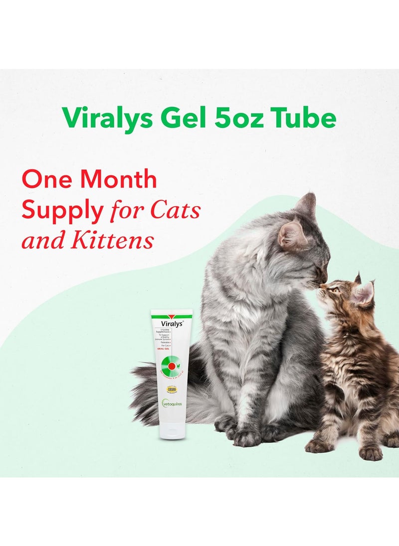 Vetoquinol Vetoquinol Viralys Oral Gel for Cats – Daily Immune & Respiratory Support with L-Lysine, 142g  - Image 4