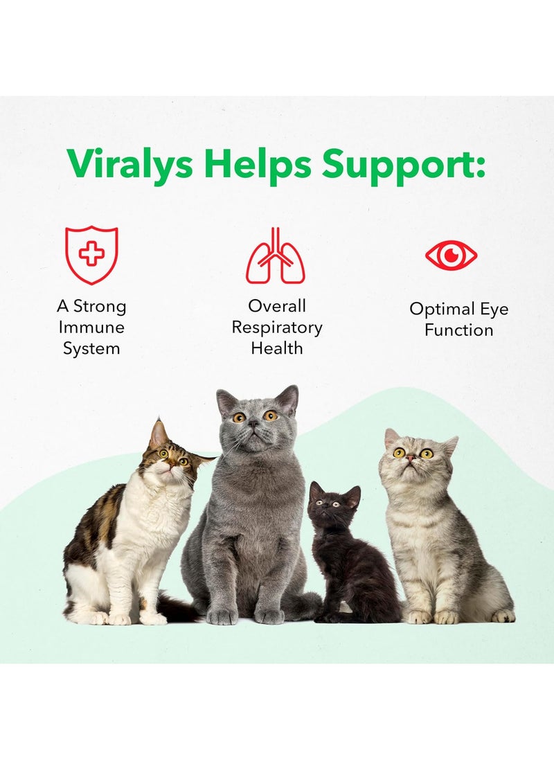 Vetoquinol Vetoquinol Viralys Oral Gel for Cats – Daily Immune & Respiratory Support with L-Lysine, 142g  - Image 2