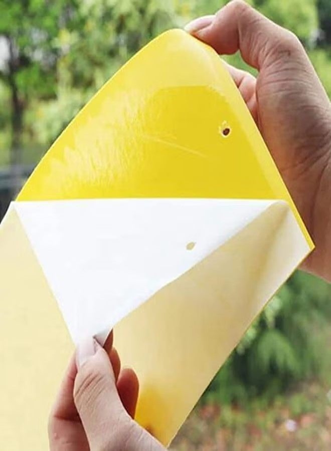 20-Piece Sticky Traps for Indoor or Outdoor Use, Flying Insects Catcher Such as Fruit Fly, Aphids, Whiteflies, Leafminers, Mosquitos, Fungus Gnats - Image 5