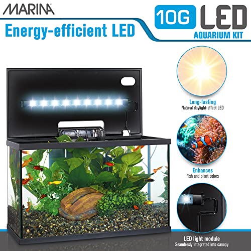 Marina LED Aquarium Kit, 10 gallon - Image 4
