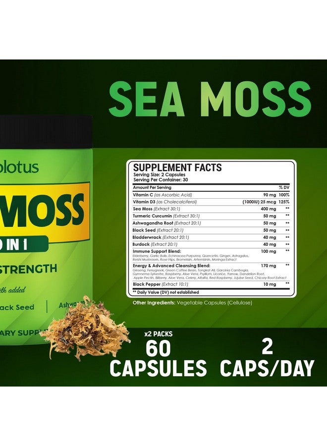 Zolotus Zolotus (2 Packs 60 Capsules Sea Moss Supplement 40 in 1, with Turmeric Curcumin, Ashwagandha Root, Bladderwrack for Immune System, Body Balance & Heart Health  - Image 2