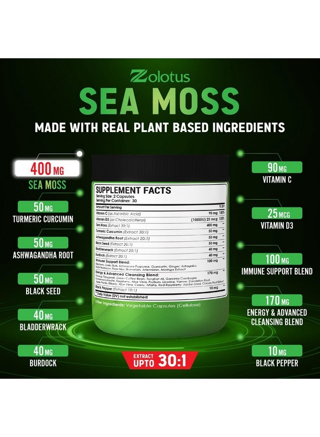 Zolotus Zolotus (2 Packs 60 Capsules Sea Moss Supplement 40 in 1, with Turmeric Curcumin, Ashwagandha Root, Bladderwrack for Immune System, Body Balance & Heart Health  - Image 3