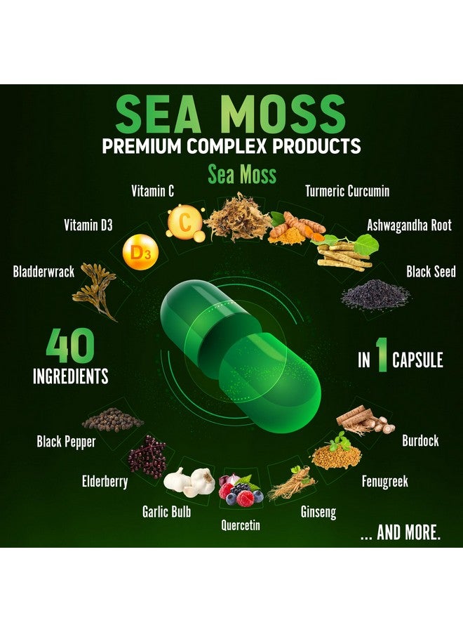 Zolotus Zolotus (2 Packs 60 Capsules Sea Moss Supplement 40 in 1, with Turmeric Curcumin, Ashwagandha Root, Bladderwrack for Immune System, Body Balance & Heart Health  - Image 4