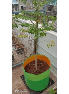 MASHKI MASHKI HDPE Grow Bags 24"x24" Inches Grow Bags for Home Gardening/Terrace/Balcony Gardening/Vegetable Plants for Home Gardening Big Size (24"x24" Pack of 4)  - Image 4
