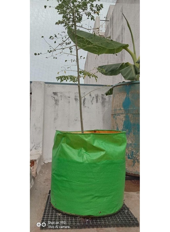 MASHKI HDPE Grow Bags 24"x24" Inches Grow Bags for Home Gardening/Terrace/Balcony Gardening/Vegetable Plants for Home Gardening Big Size (24"x24" Pack of 4) - Image 5
