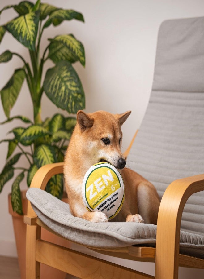 Nestpark Zen Pupper Deckies Parody Dog Toy - Plush Squeaky and Crinkle Funny Dog Toy (Citrus Lick) - Image 4