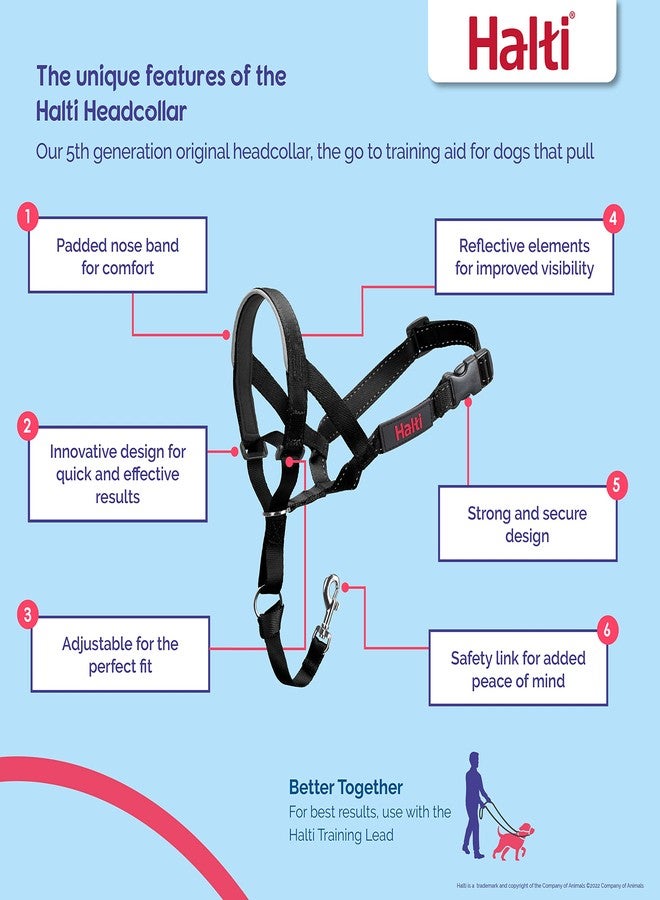 Halti Headcollar - Stop Your Dog Pulling on The Leash. Adjustable, Reflective and Lightweight, with Padded Nose Band. Dog Training Anti-Pull Collar for Medium Dogs (Size 3, Forest Green) - Image 2