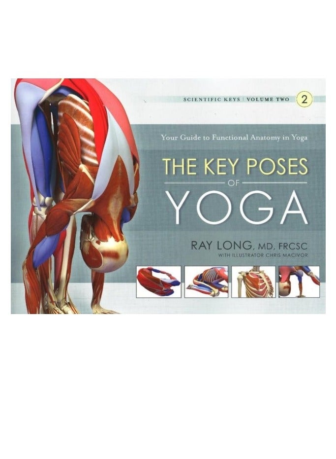 The Key Poses of Yoga