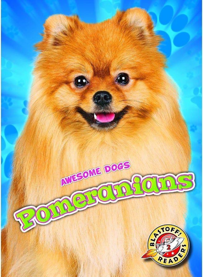 Pomeranians  - Image 1