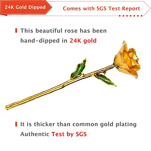 AliveRose Gold Rose Made from Real Rose - Unique Design Dipped Rose for Anniversary Valentines Mothers Day Birthday Gifts (Yellow with Stand) - Image 5