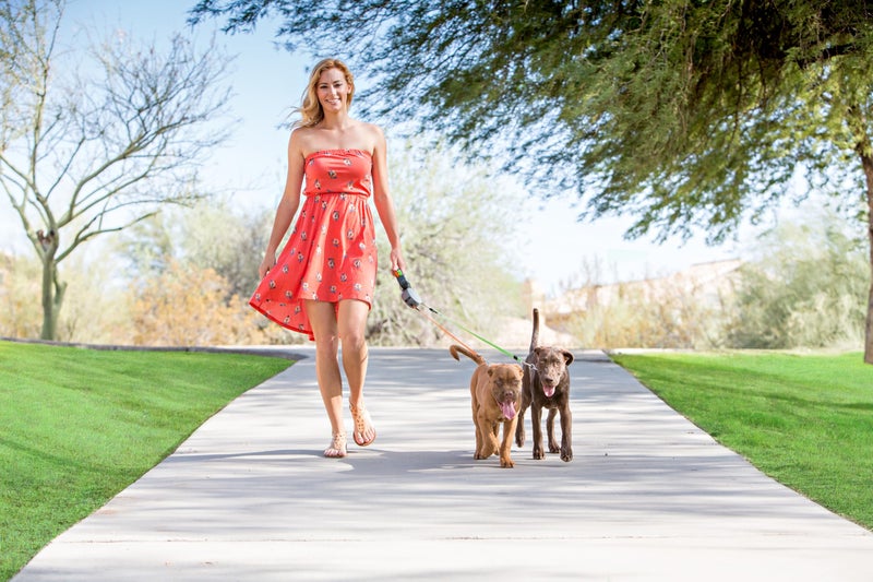 WIGZI - 2025 Enhanced Edition - Dual (2) Dog Retractable Leash, Auto-Untangles, Supports Up To 50lb Dogs, 10ft Distance Each Dog, Color-Coded Control, Reflective Leads, Waterproof, Gray Color - Image 2