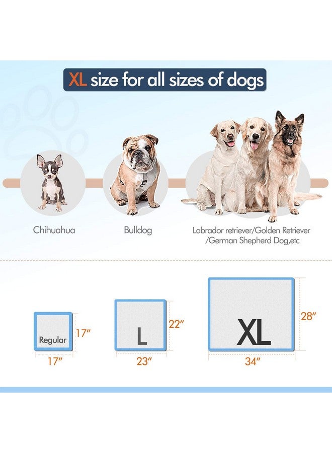 جيمارس وسادات تدريب الجراء من جيمارز سميكة وعالية الامتصاص، مقاس 28 × 34 بوصة - وسادات بوليمر كبيرة جدًا للاستخدام مرة واحدة سريعة الجفاف لا تسرب البول للكلاب والقطط والأرانب وغيرها من الحيوانات الأليفة التي تستخدم في تدريب المنزل، 30 قطعة - Image 3