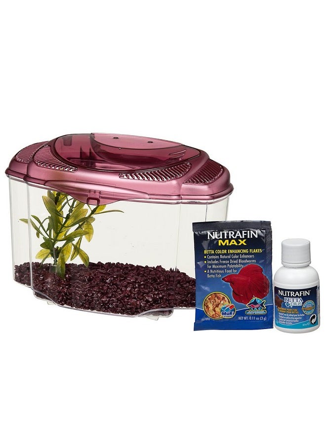 Marina Marina Betta Pals Kit, Betta Fish Aquarium Starter Kit, Burgundy, 13405 