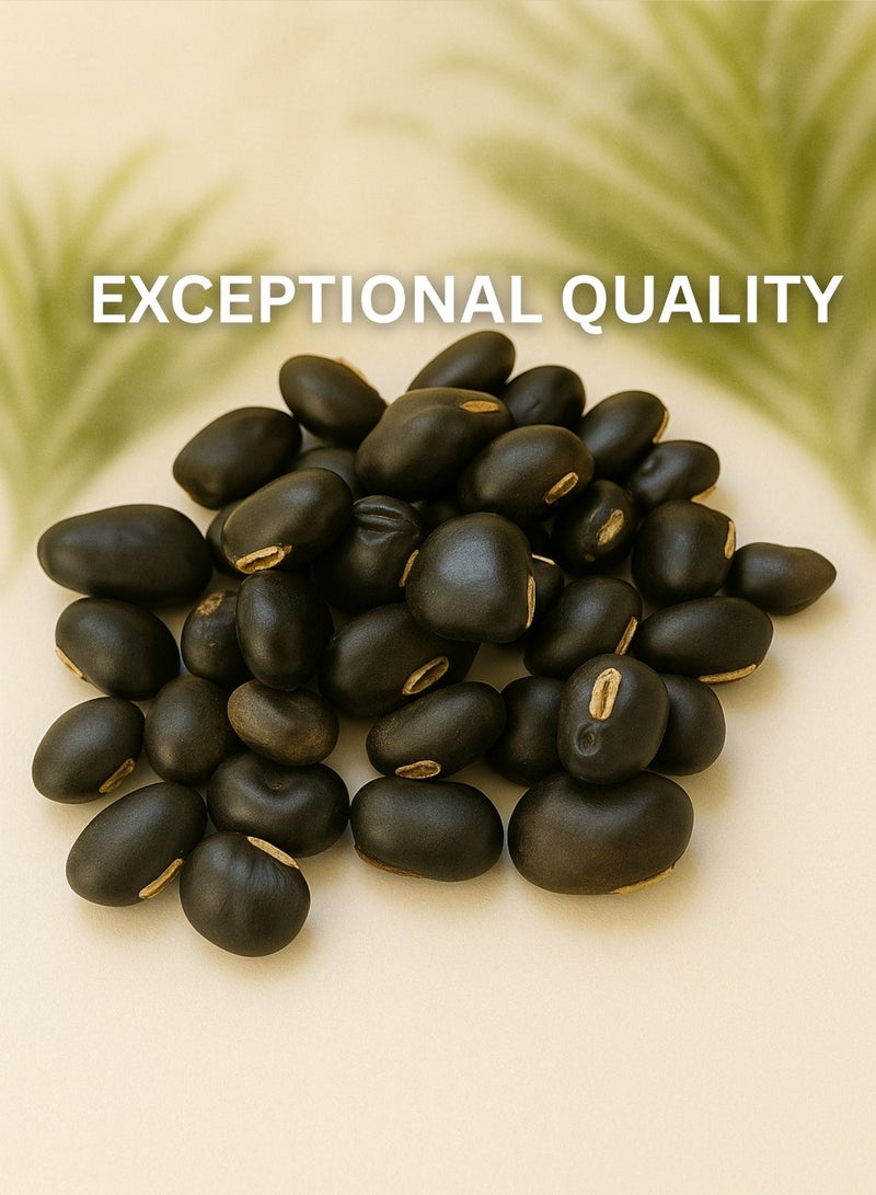 زهر بذور نايكوارانا - خام نقي، مُفرزة يدويًا، عالية الجودة، مزروعة بشكل مستدام - للعافية، والعلاج بالروائح، والاستخدامات التقليدية - Image 2