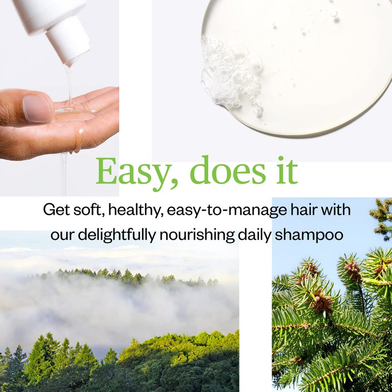 Ursa Major Natural Shampoo | Sulfate-Free, Vegan, Cruelty-Free, Non-toxic | Formulated for Men & Women and All Hair Types | 8 ounces - Image 4