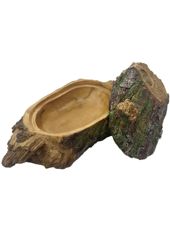 مالتي بيت مخبأ غابة كومودو