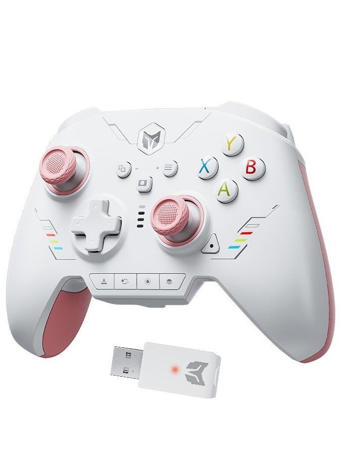 BIGBIG WON Classic Gamepad BIGBIGWON RAINBOW 2SE Gaming Controller for Switch / PC /Android / iOS with Hall Trigger Joystick, 1000mAh Battery, 1000Hz Polling Rate, 6-Axis Gyroscope, 2.4G/Bluetooth/Wired connected, Mapping Motion Control, 180° Wrapped Rubberized Grip, Adaptive Calibration, 0 Deadzone Joystick, 4 Remappable Additional Buttons - Image 1