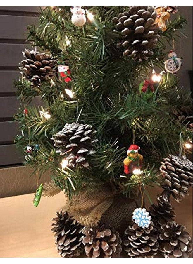 كورت أدلر مجموعة زينة صغيرة من كورت أدلر بيتيت تريجرز، ١٢ قطعة، عبوة من قطعتين - Image 3