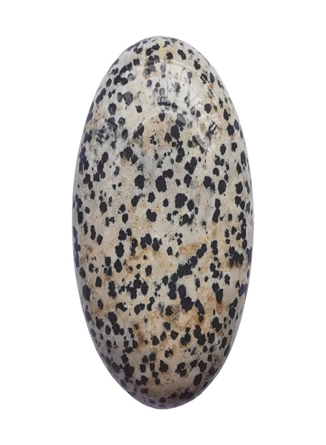 Bacatgem Speckle Dalmation Stone Oval Palm Pocket Healing Crystal Massage Spa Energy Stone,Healing Crystal for Therapy Geometry Chakra Balancing - Image 1