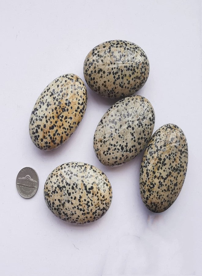 Bacatgem Speckle Dalmation Stone Oval Palm Pocket Healing Crystal Massage Spa Energy Stone,Healing Crystal for Therapy Geometry Chakra Balancing - Image 3