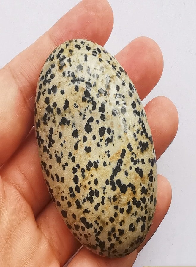 Bacatgem Speckle Dalmation Stone Oval Palm Pocket Healing Crystal Massage Spa Energy Stone,Healing Crystal for Therapy Geometry Chakra Balancing - Image 2