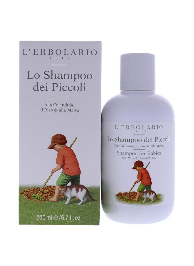 L'Erbolario Lerbolario Shampoo For Babies For Kids 6.7 Oz Shampoo  - Image 1